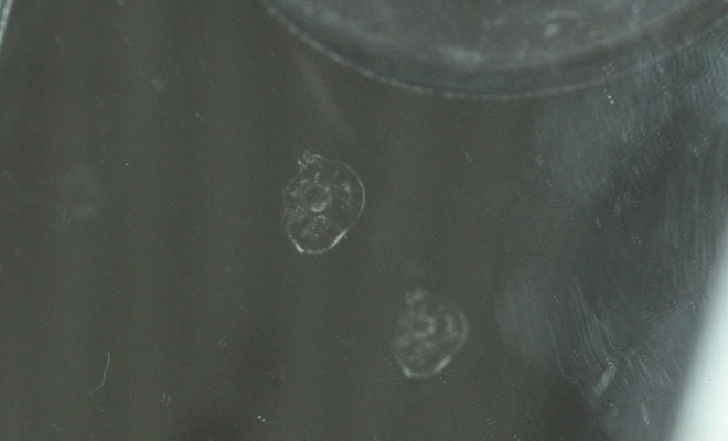 ガラスリペア,ひび割れ補修後,守谷